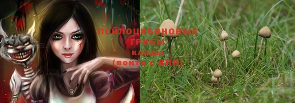 Альфа ПВП Козельск