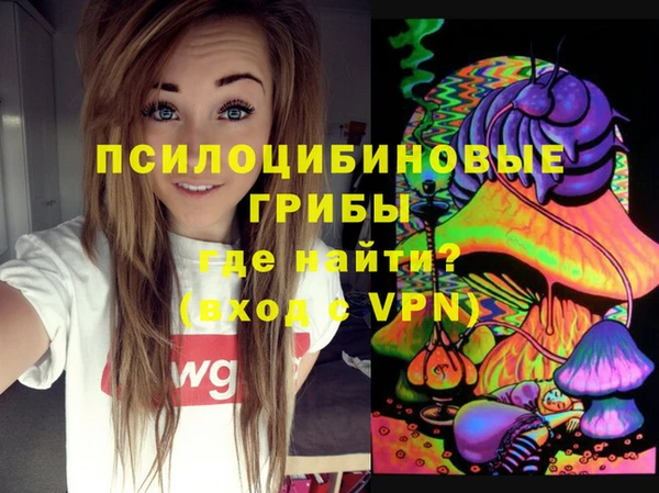 Альфа ПВП Козельск
